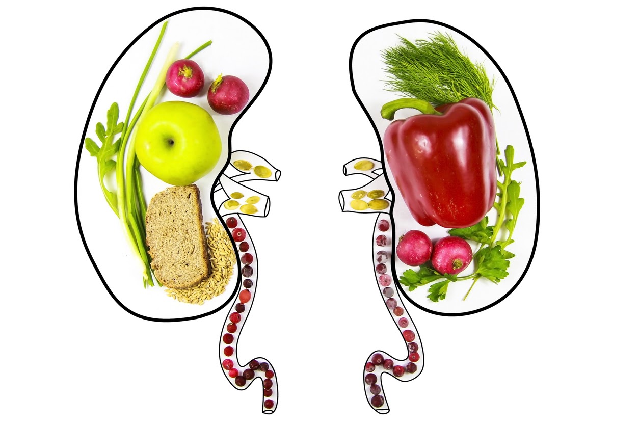 Renal Nutrition